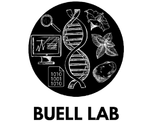 Buell Lab